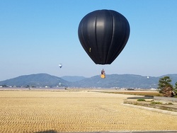 20191109_084950.jpg 20191109_084950.jpg
