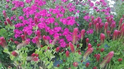 20200501_190319.jpg 20200501_190319.jpg
