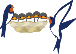cȏ.png